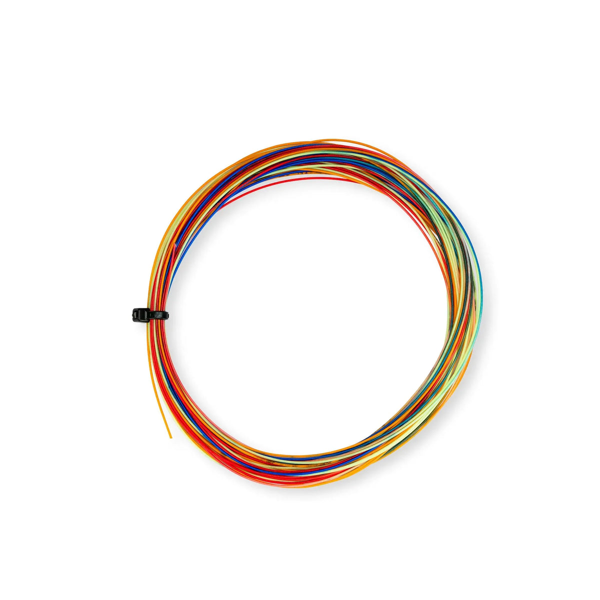 Ap-66 Rainbow- Rainbow