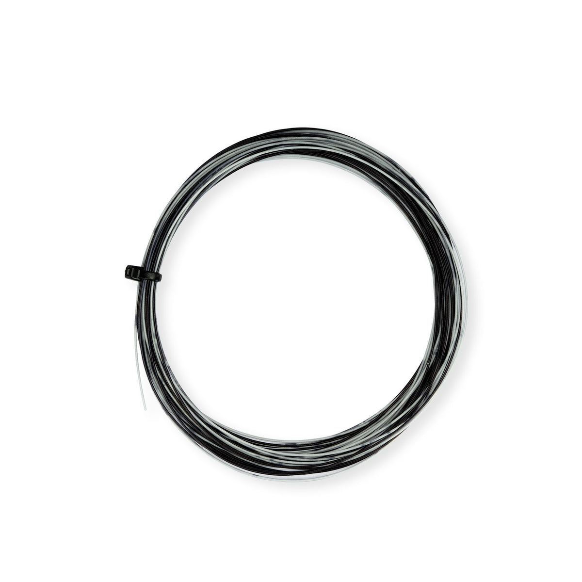 Ap-66 Rainbow- Black/White