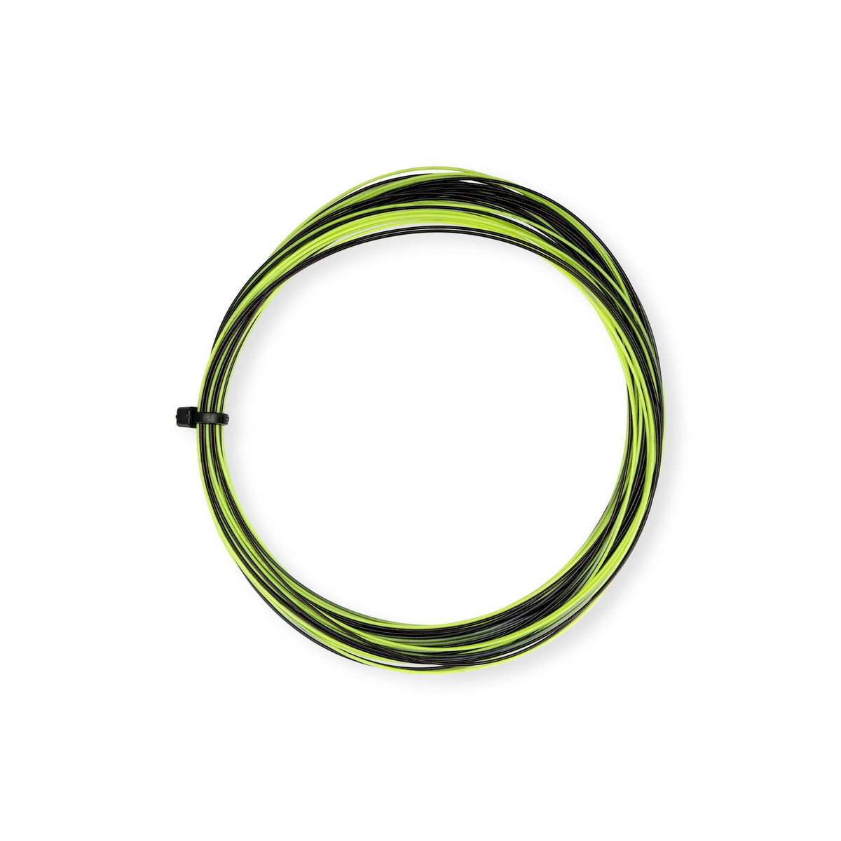 Ap-66 Rainbow- F.Yellow/Black 