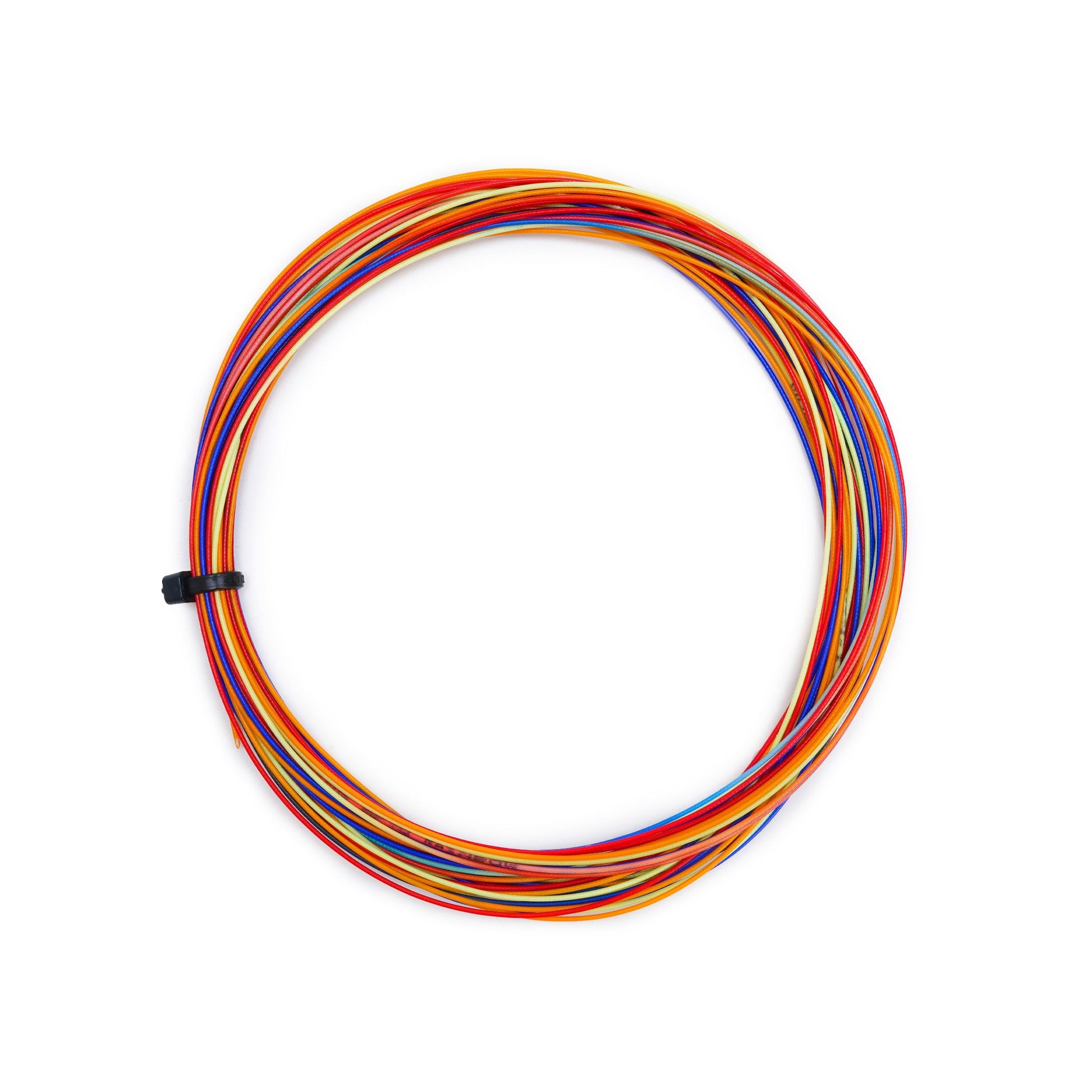 AP70 - Rainbow