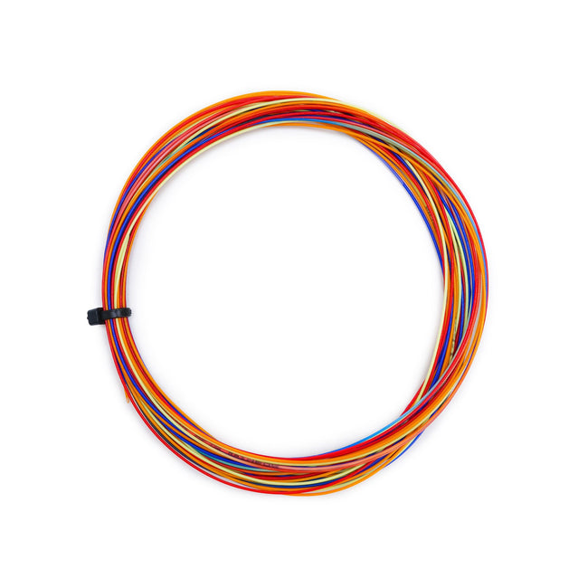 AP70 - Rainbow