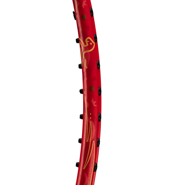 AxForce Cannon Pro Limited Edition - 4U