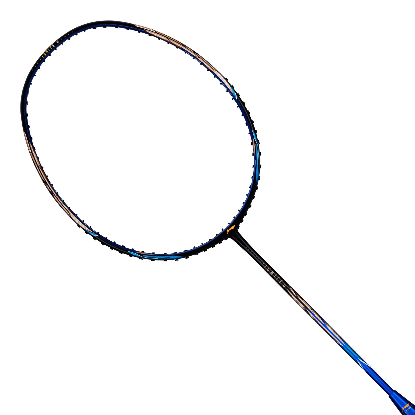 Ignite 8 (Black/Blue/Old Gold)
